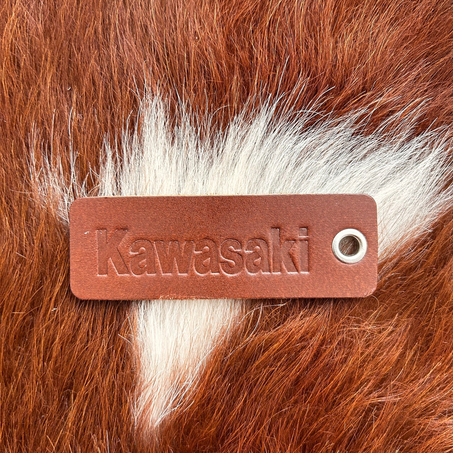 Kawasaki motorcycle keytag